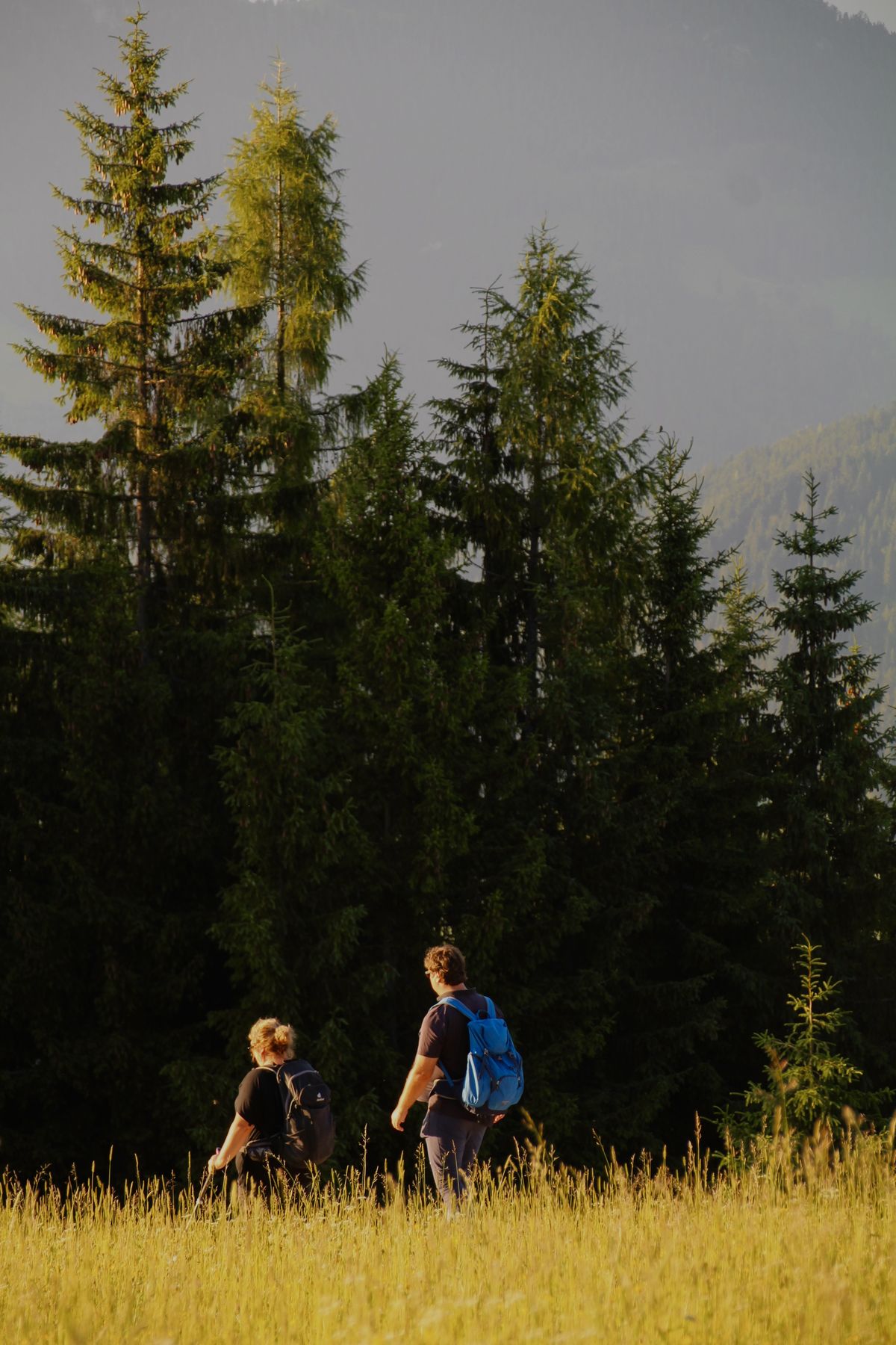 Wandern und Bergsteigen