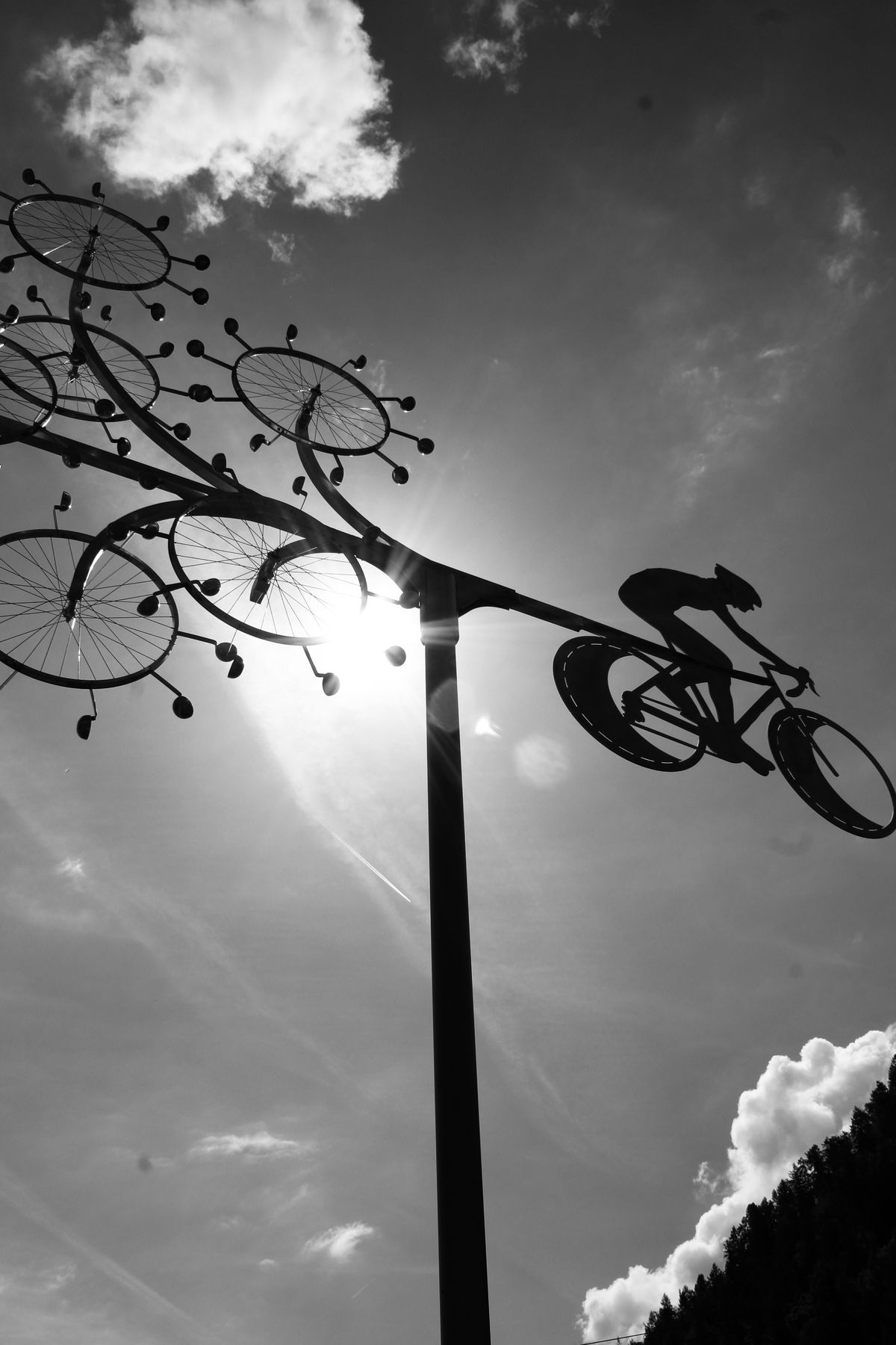 Mountainbiken rund ums Wildalpgatterl