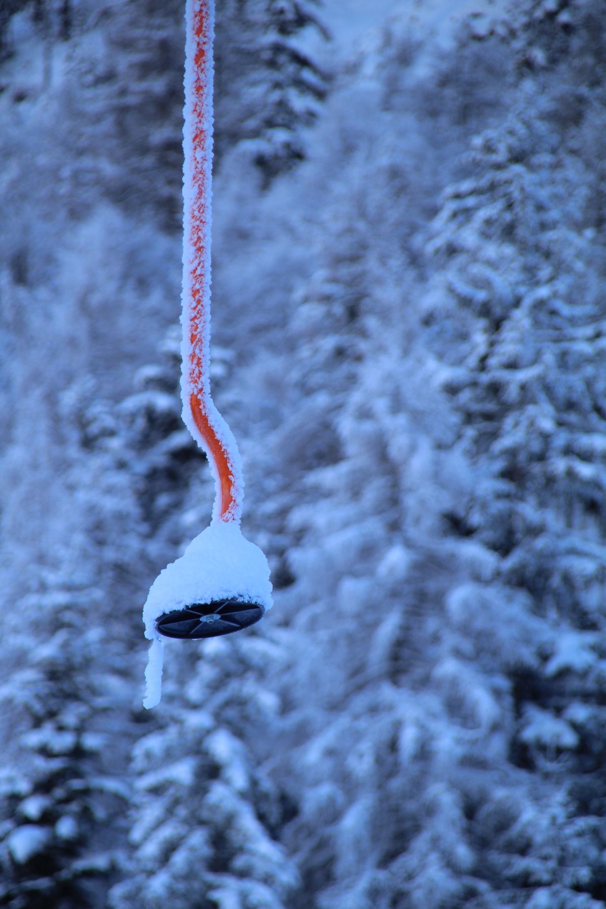 Skifahren am Wildalpgatterl